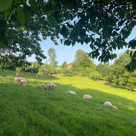 Black Forest Stueble Loßburg