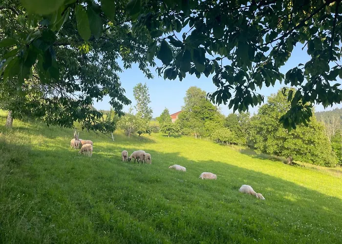 Black Forest Stüble Loßburg